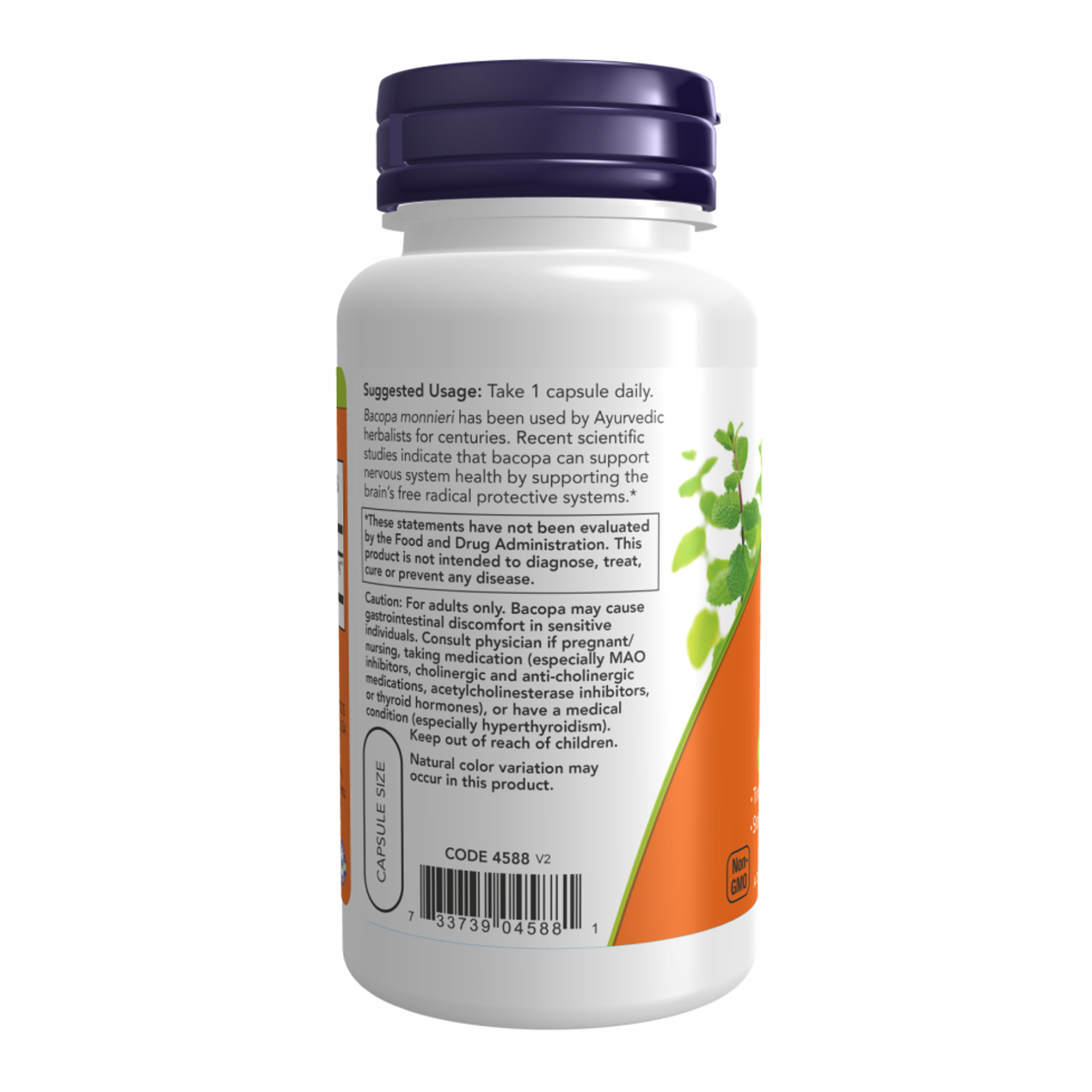 Bacopa Extract 450 mg - 90 vcaps - Зображення 3