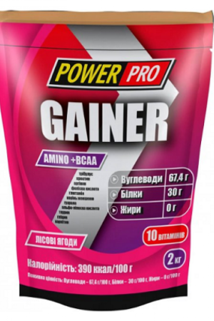 Gainer - 2000g Forest Fruit