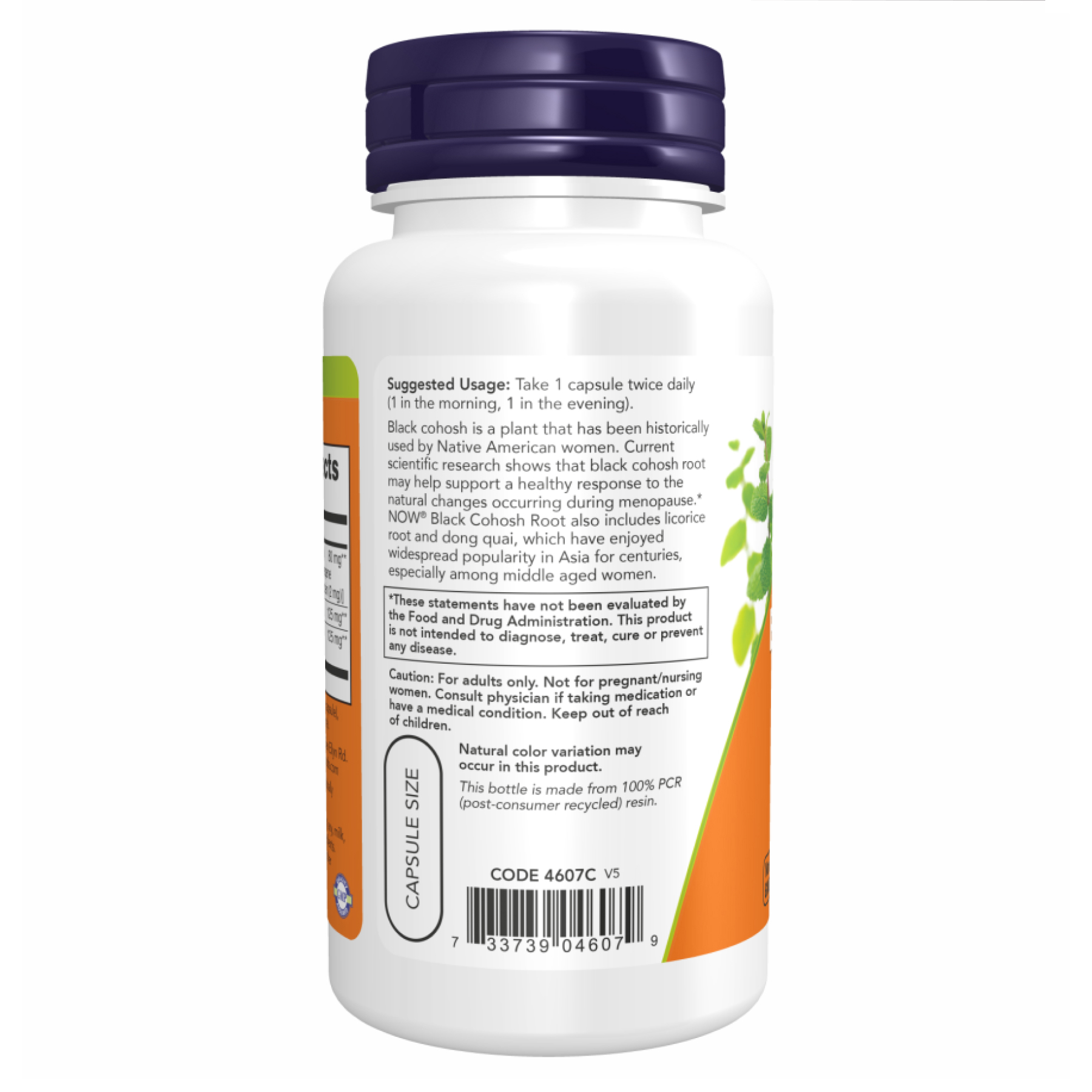 Black Cohosh 80mg - 90 vcaps - Зображення 3