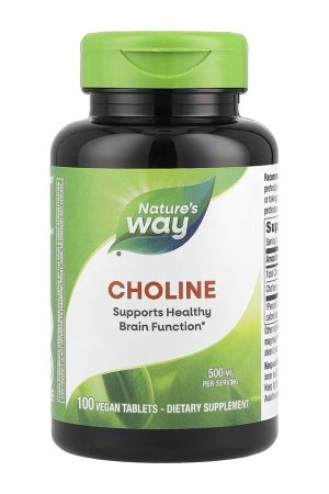 Choline 500 mg - 100 tabs