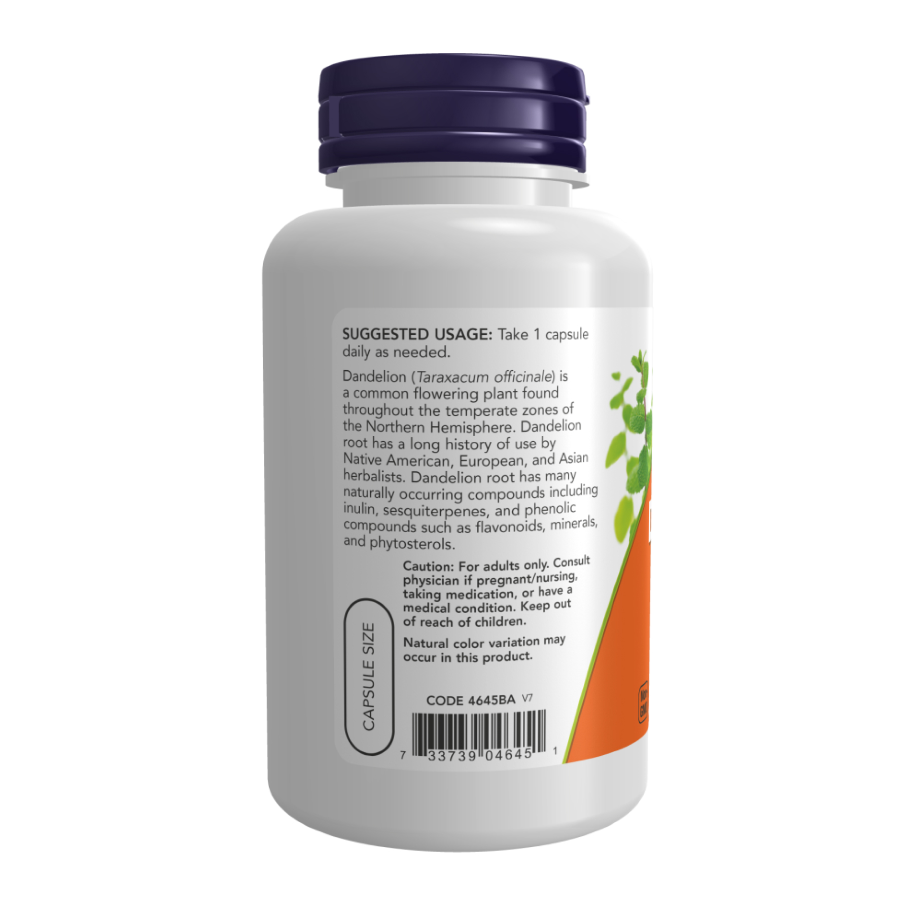 Dandelion Root 500 mg - 100 vcaps - Зображення 3