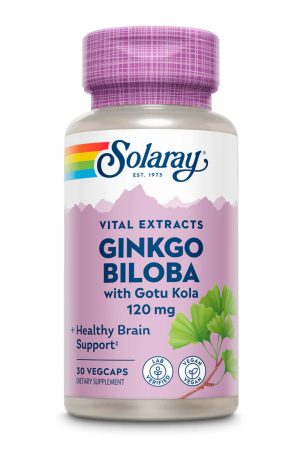 Ginkgo Biloba Extract One 120mg - 30 vcaps