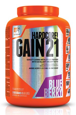 Hardcore Gain21 - 3000g Blueberry