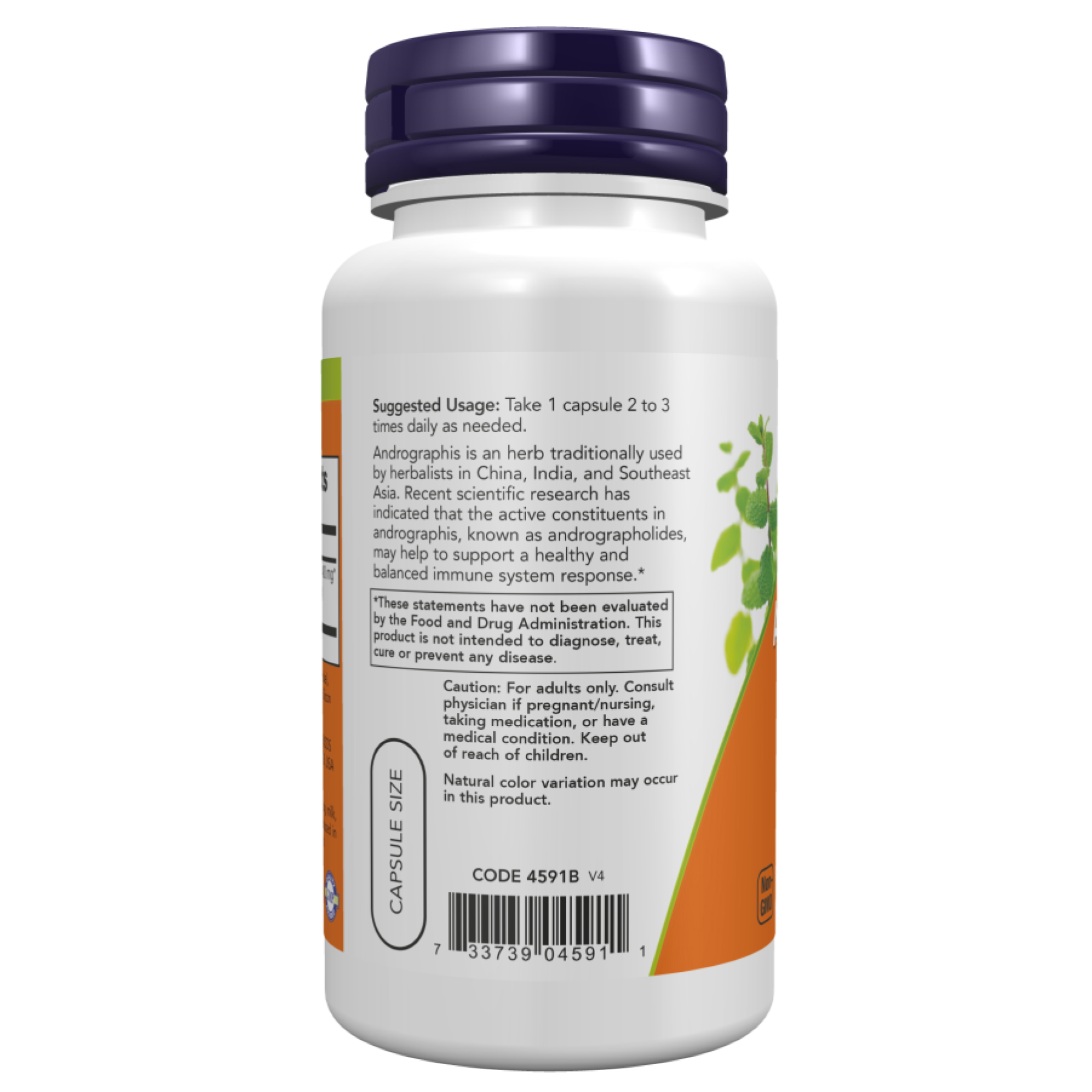 Andrographis Extract 400mg - 90 vcaps - Зображення 3