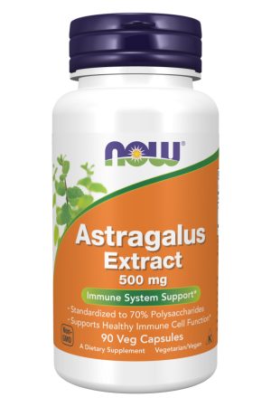 Astragalus Extract 500mg - 90vcaps