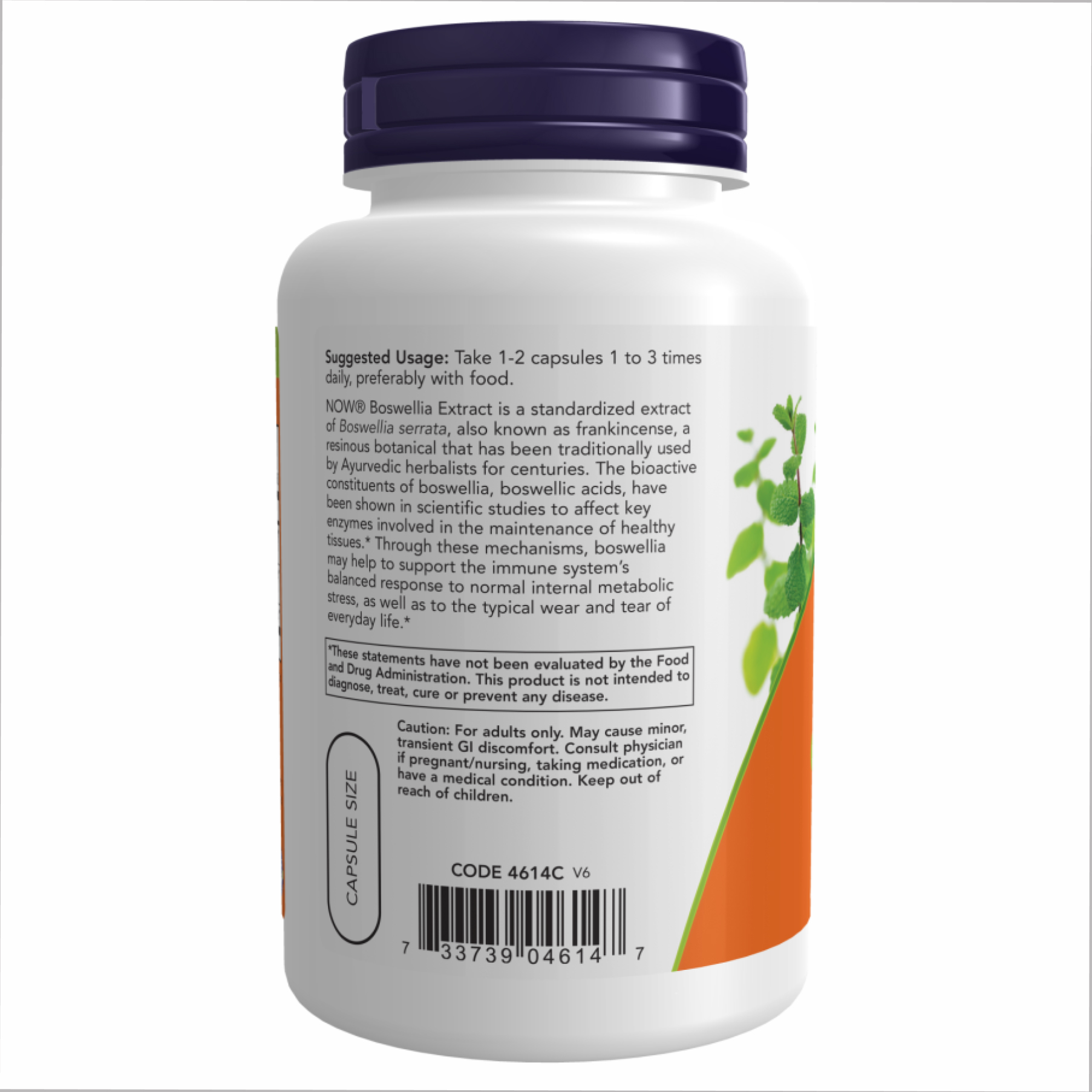 Boswellia Extract 250 mg - 120 vcaps - Зображення 3