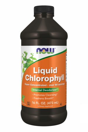 Chlorophyll Liquid Mint - 16 oz