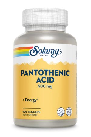 Pantothenic Acid 500mg - 100 veg caps