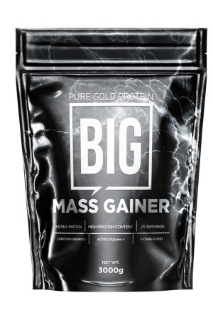 Big Mass Gainer - 3000g Chocolate