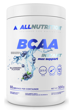 BCAA Max Support Instant - 500g Bllueberry (До 10.26)