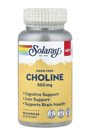 Choline 500mg - 60 caps